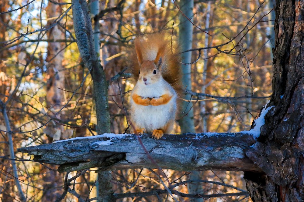 Photograph by Дмитрий Тимин