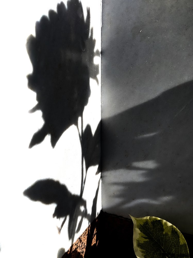 Фотография автора Yermek Zhunusbayev