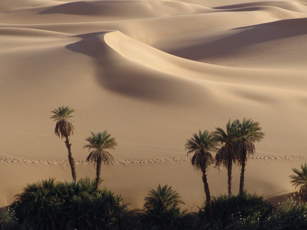 HUELLAS  EN LA ARENA