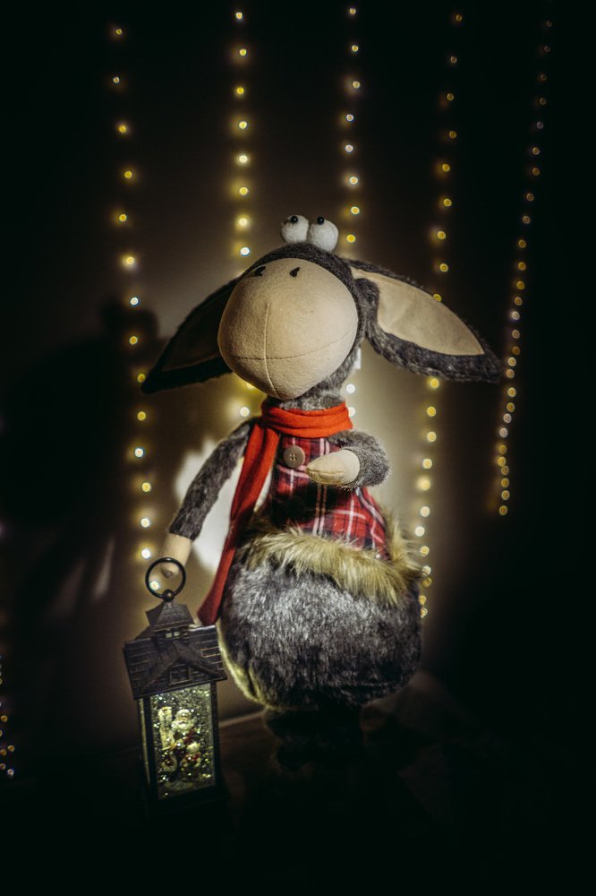 Photograph by Сергей Забиякин