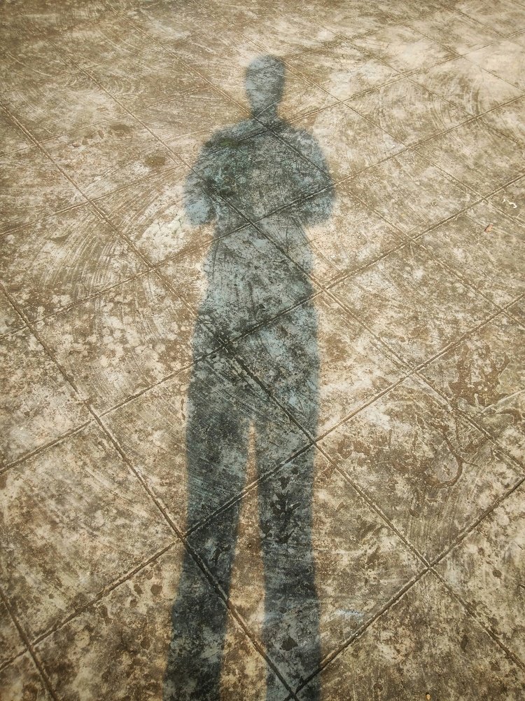 Photograph by Avinash Kumar