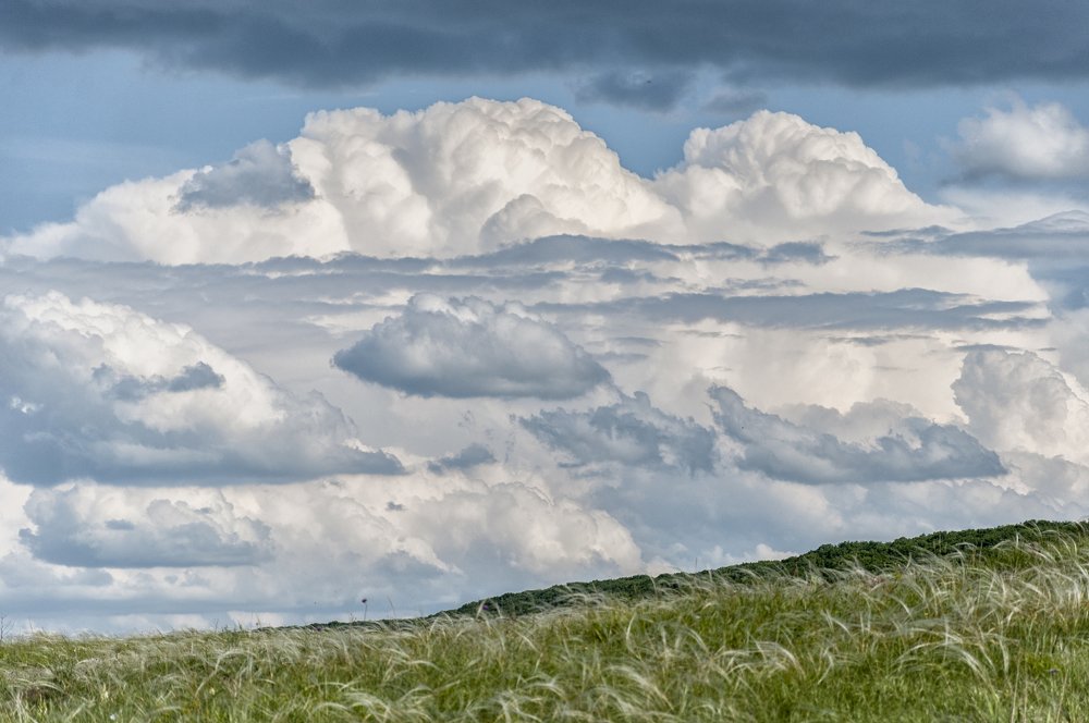 Родные Просторы