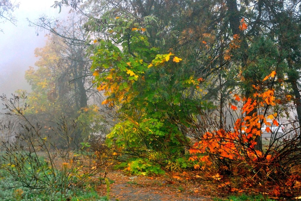 Photograph by Андрей Тарасов