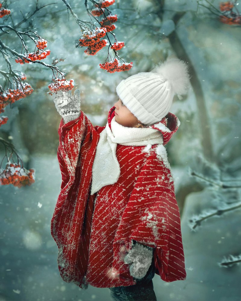 Где растет рябина...