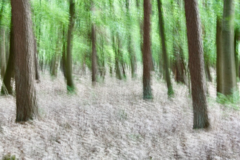 Photograph by Svetlana Kornilova