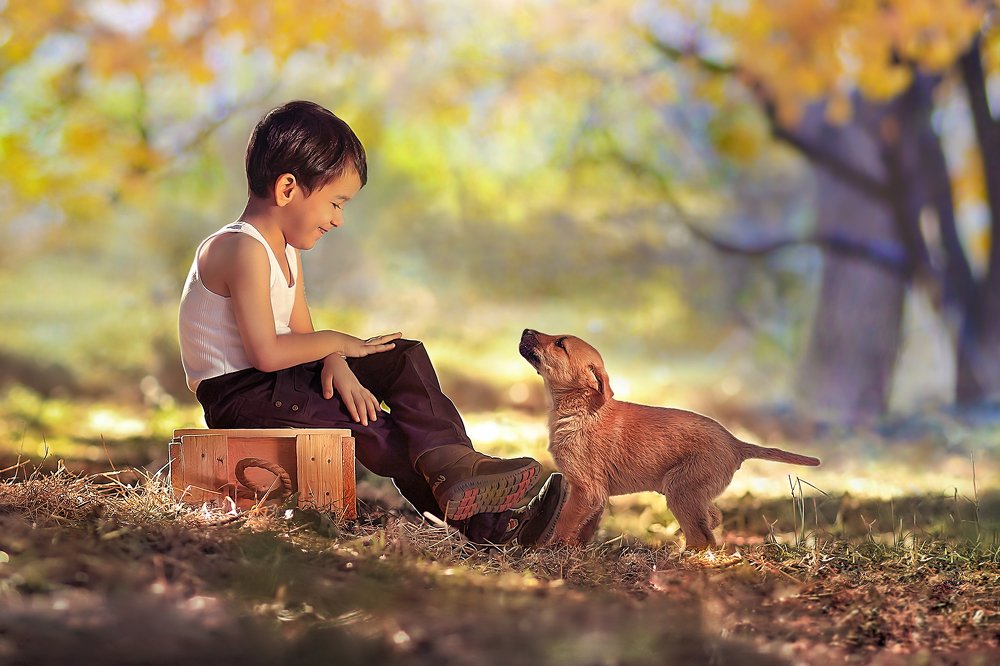 Photograph by mohsen mikaeili