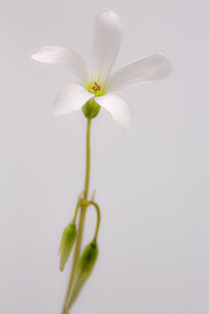 Photograph by Олег Тетерин