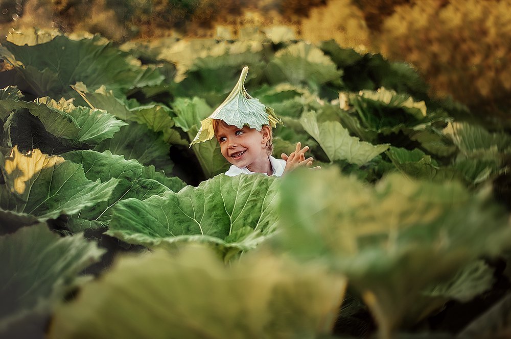 Photograph by Евгения Соколова