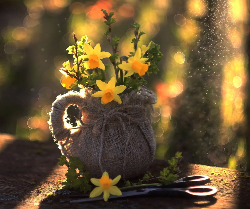 Весенний солнечный этюд