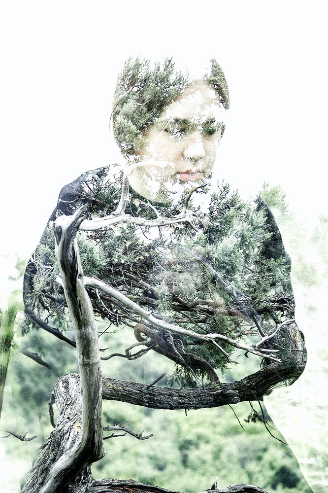 Photograph by Александра Свенская