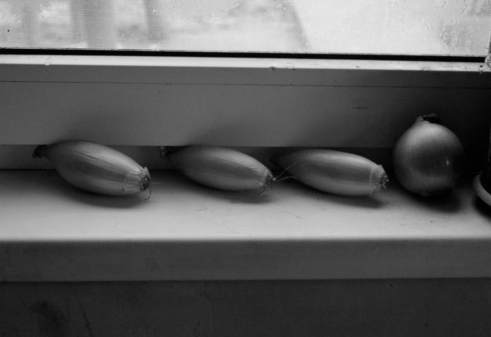 Photograph by Ann Stodolskaya