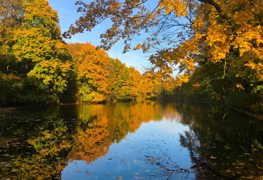 Photograph by Александр Козинец