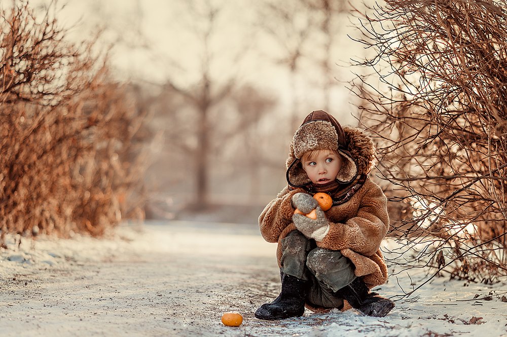 Похититель мандаринов