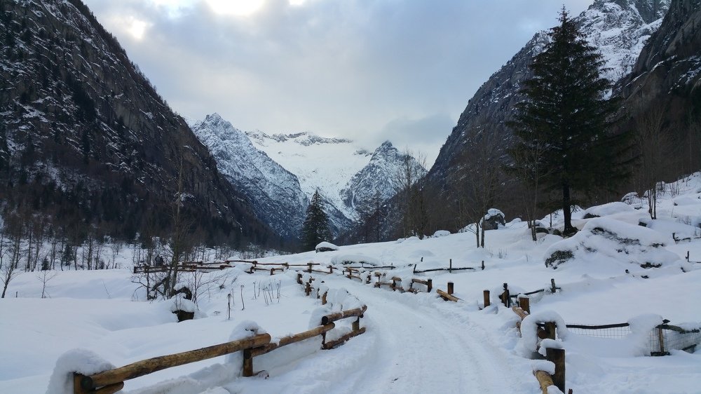 Photograph by Max Ischenko