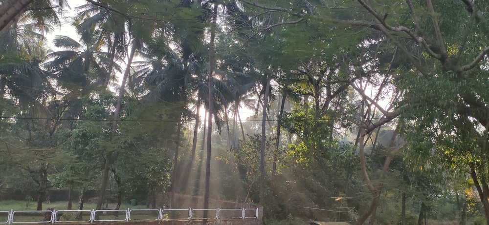Photograph by Kishor Kumar
