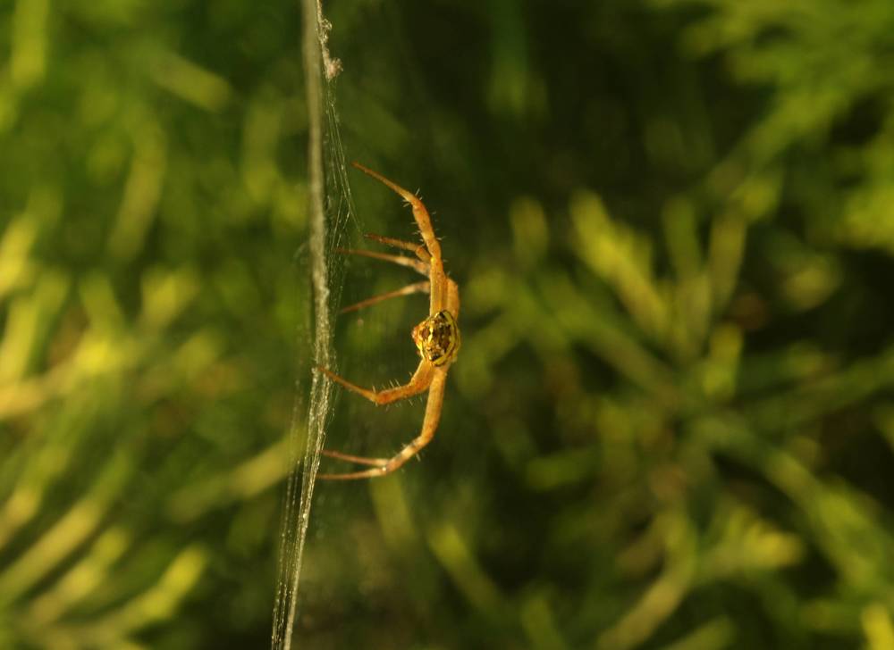 Photograph by Prabhu Viswanathan