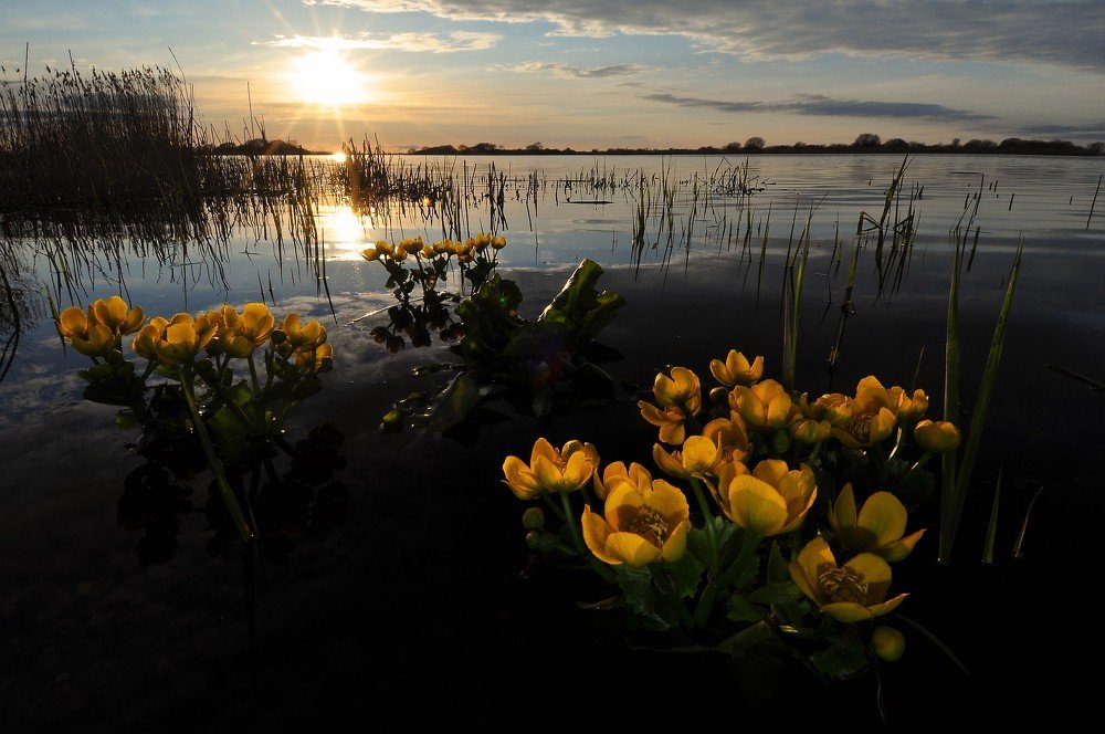 Photograph by 