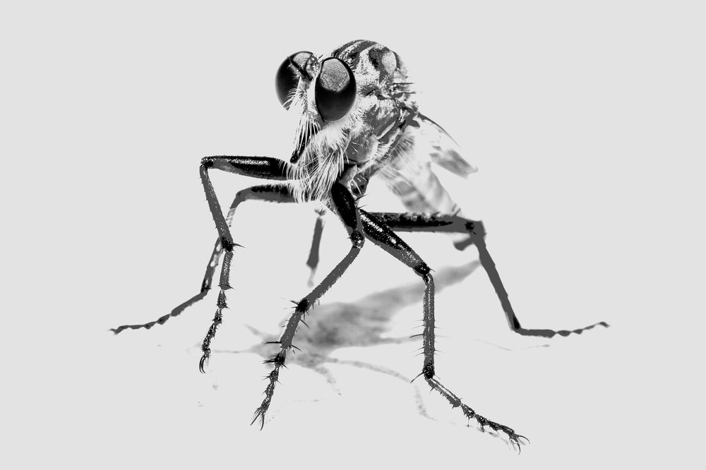 Photograph by Takis Bananis