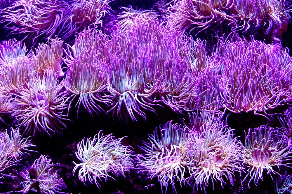 Photograph by Takis Bananis