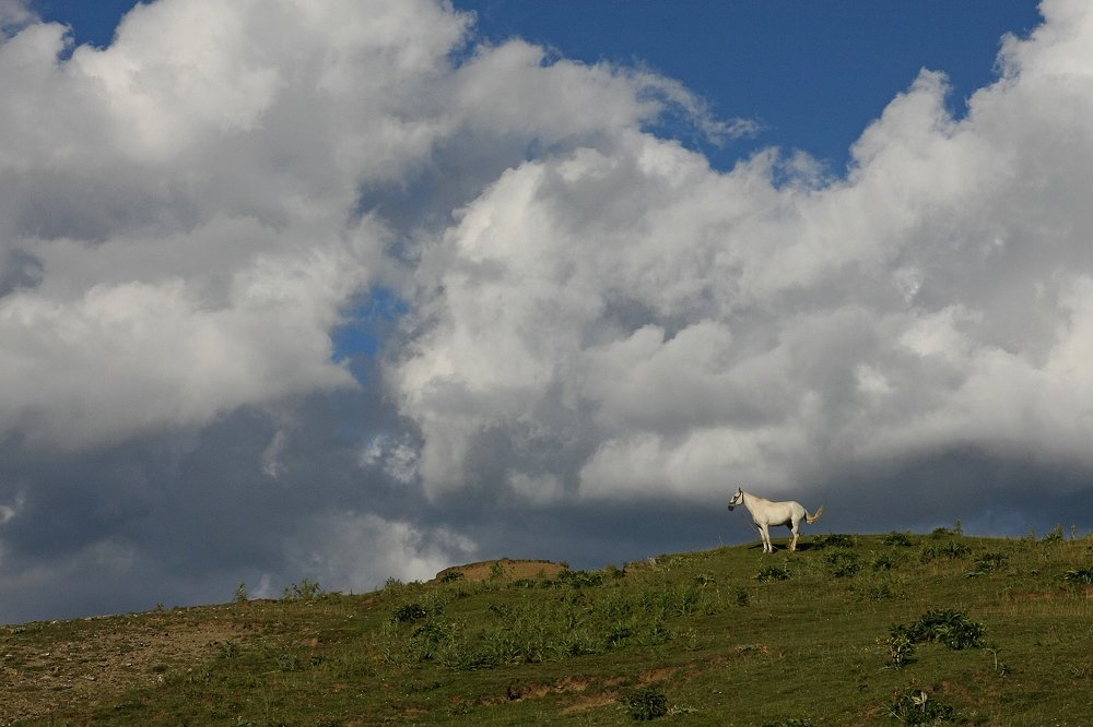 Photograph by Takis Bananis