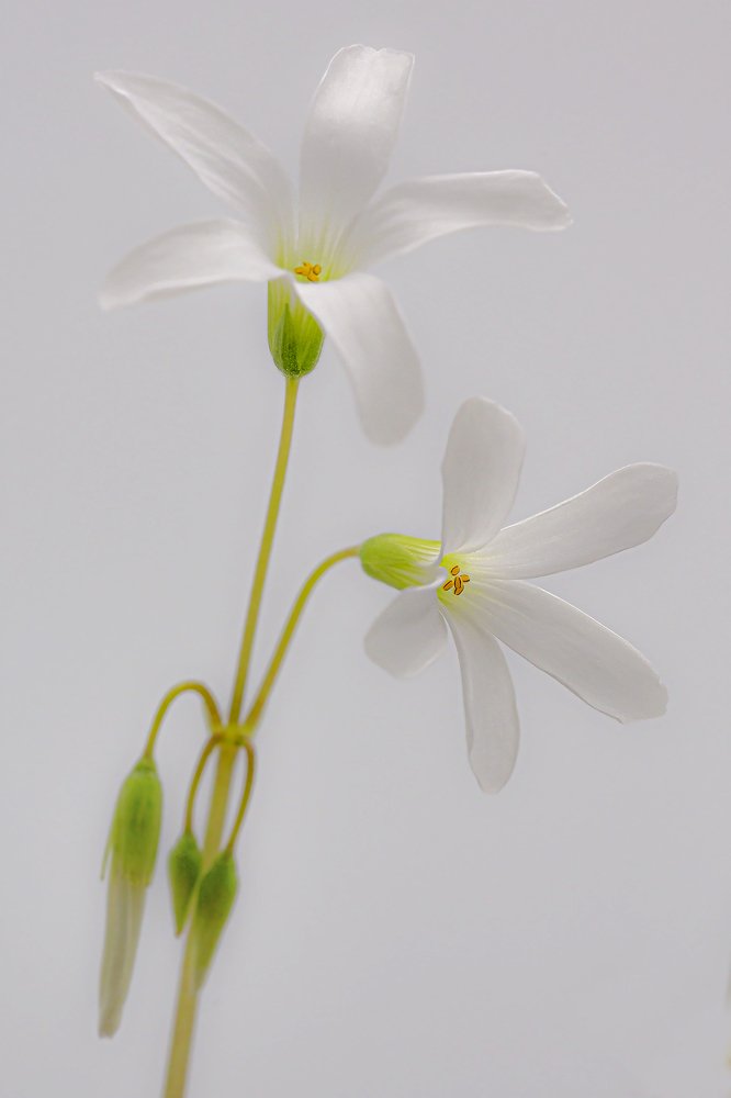 Photograph by Олег Тетерин