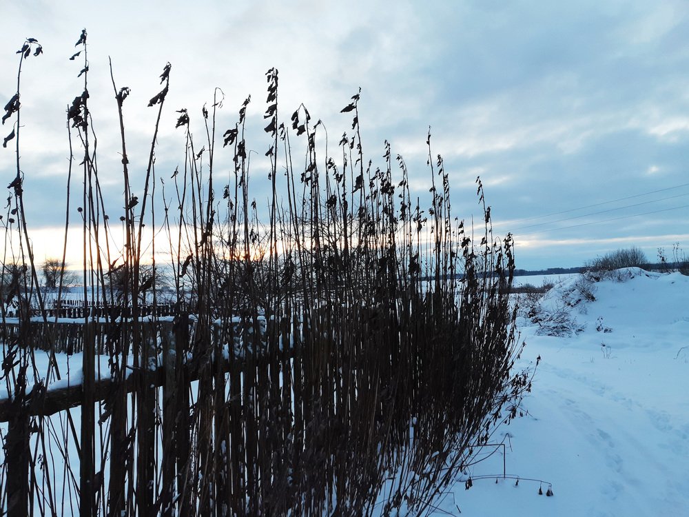The beauty of winter