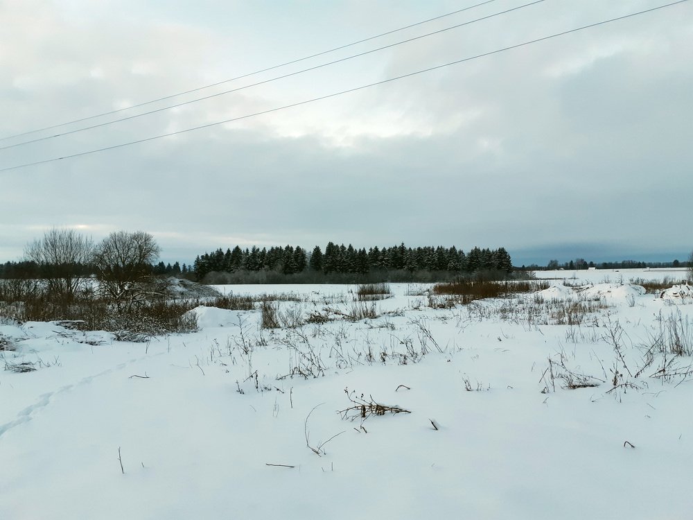 The beauty of winter