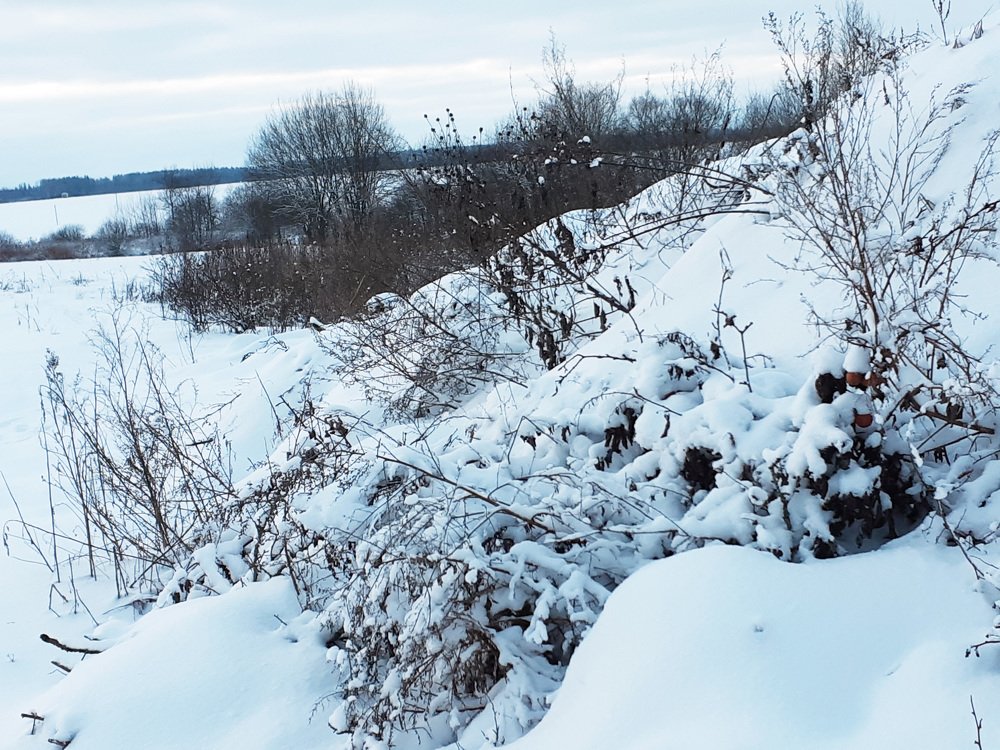 The beauty of winter