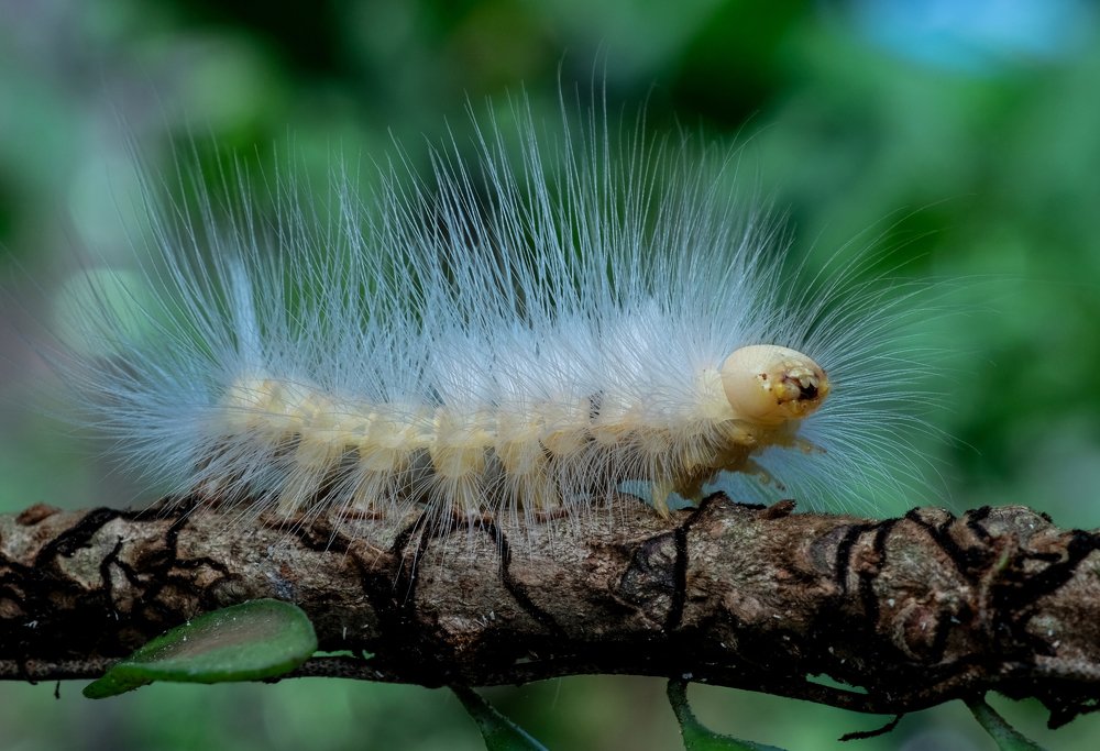 Photograph by Chuah Christopher