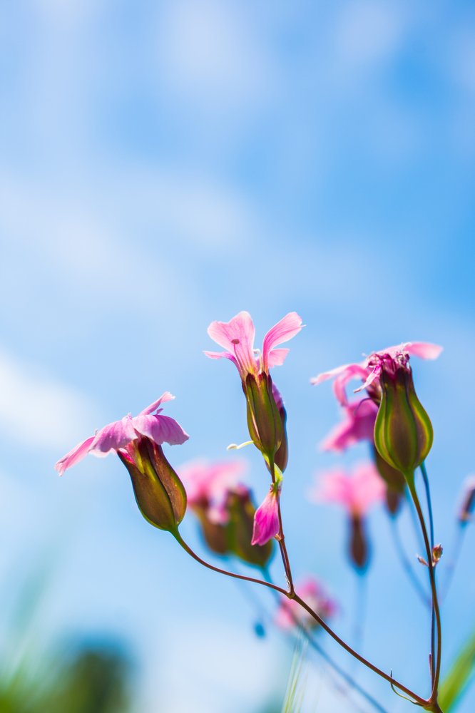 Photograph by Mohammad Sadegh Vasiei