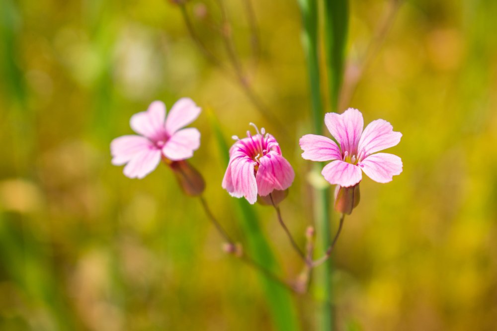 Photograph by Mohammad Sadegh Vasiei