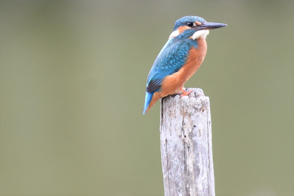 Photograph by Luca liberotti