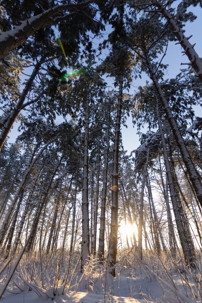 Photograph by Лис Ната