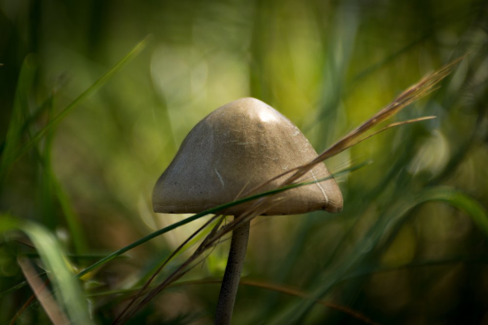 Photograph by Kostas Rammos