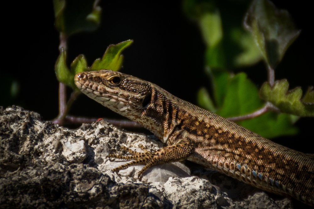 Photograph by Kostas Rammos