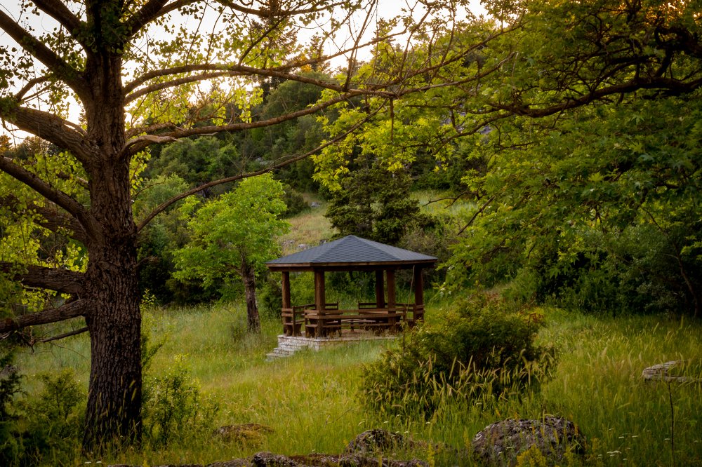 Photograph by Kostas Rammos