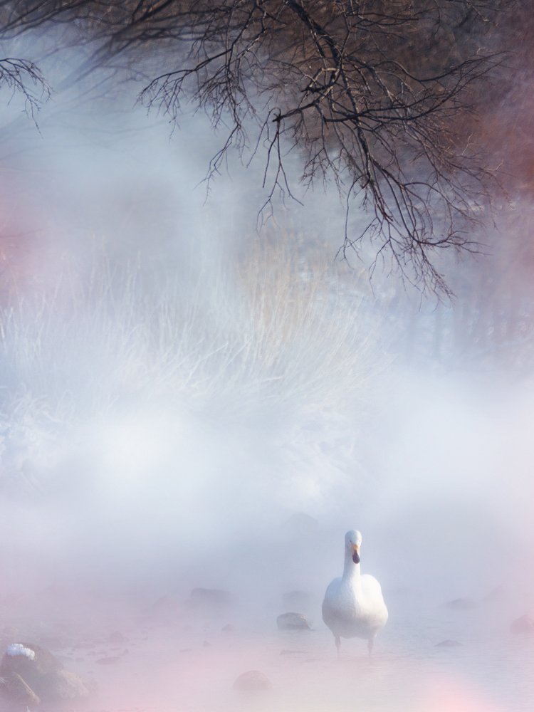 Photograph by Kok Tien Sang