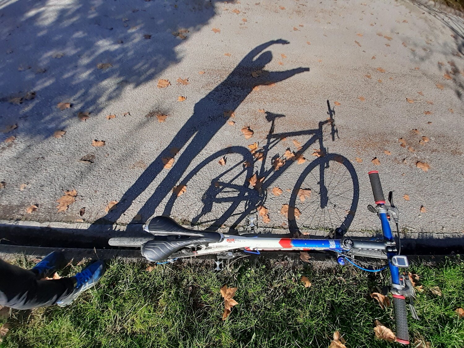 My bike
