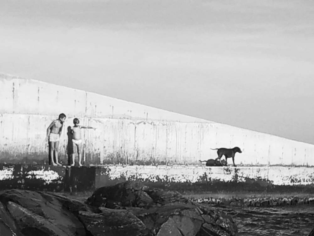 Мальчики и собака / Boys and dog
