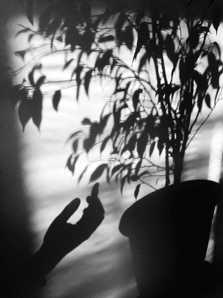 Photograph by Оля Лукаш