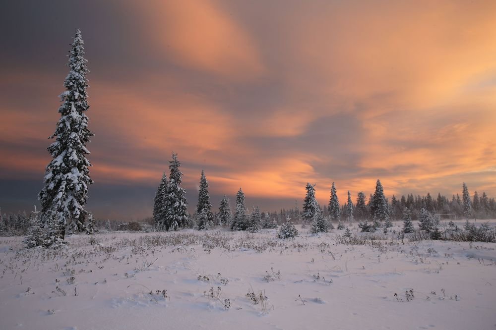 Фотография автора Юрий Кетель