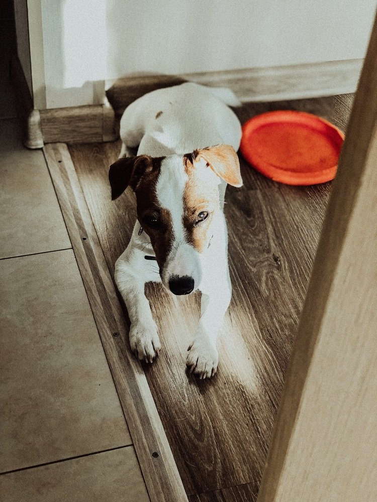 Photograph by Надежда