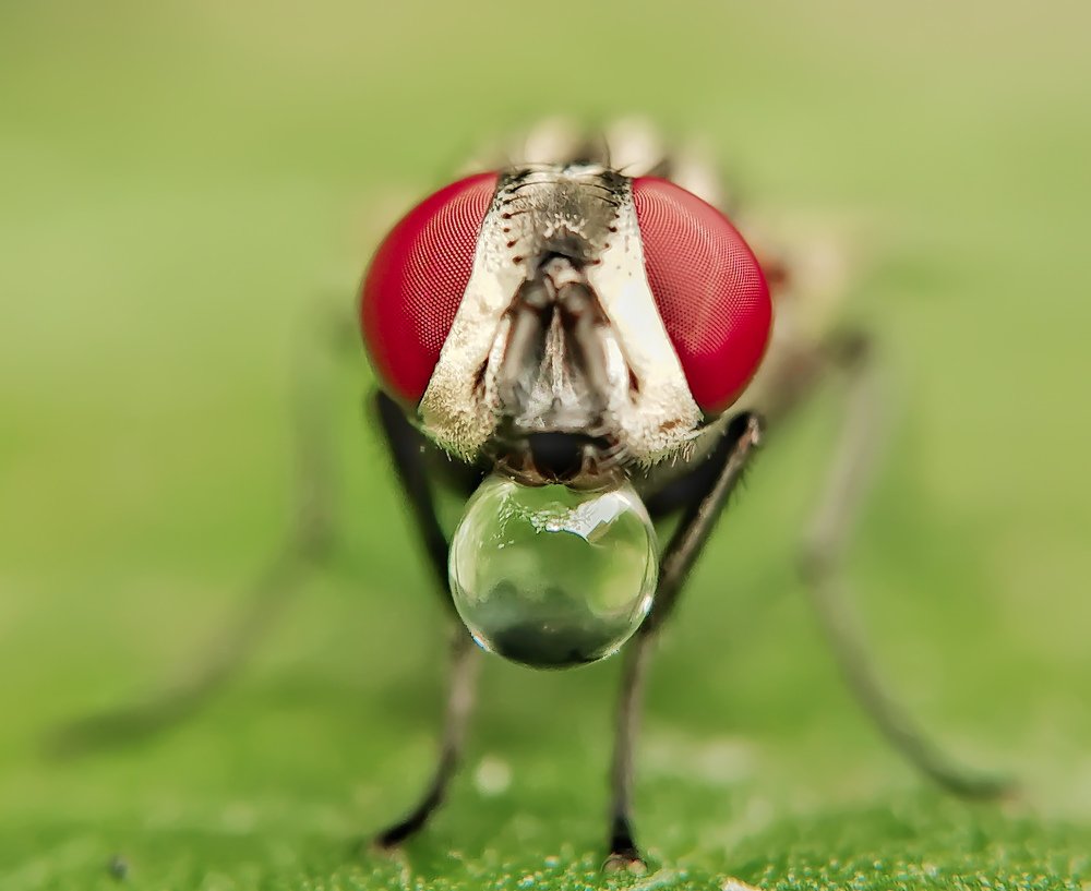 Фотография автора ISLAM SK RIYAJUL