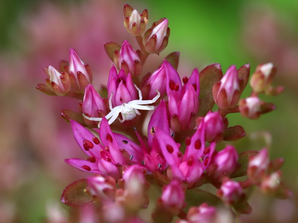 Photograph by Екатерина Мстиславская