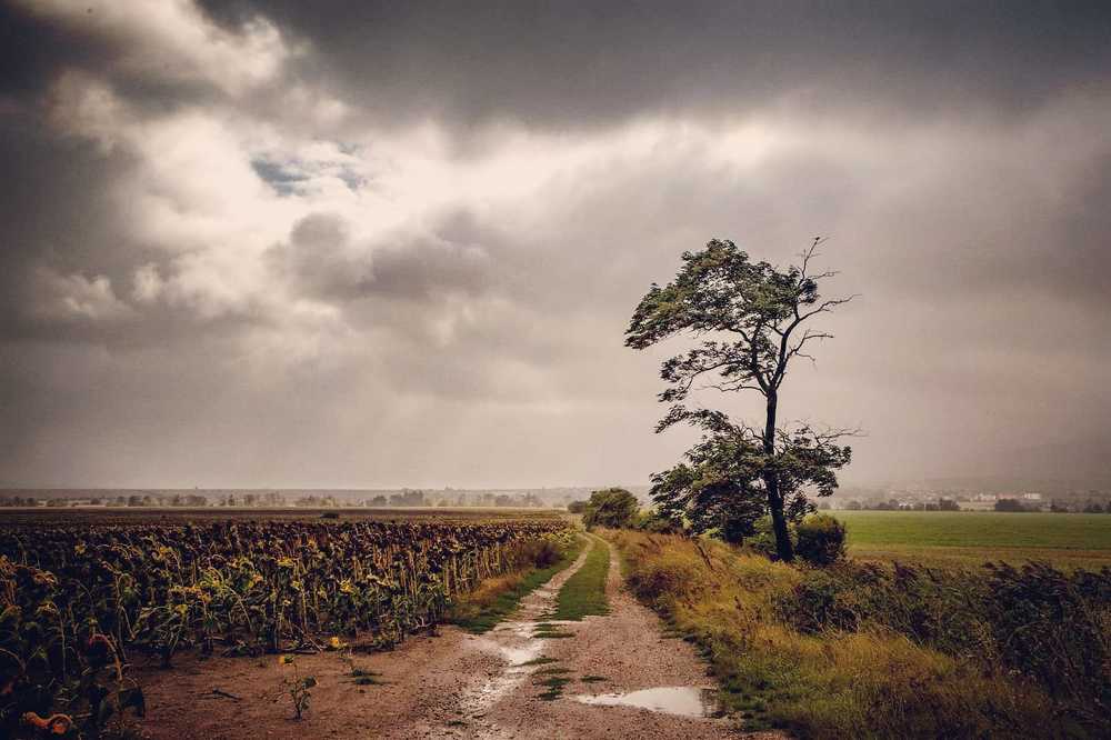 Photograph by Vladimír Halada