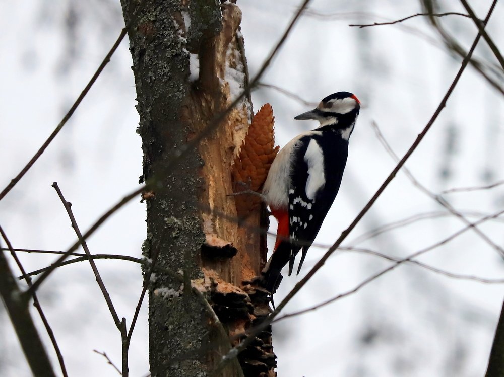 Photograph by Екатерина Мстиславская