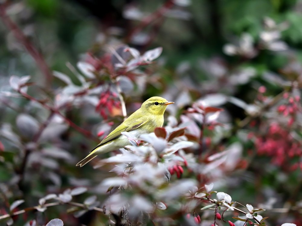 Photograph by Екатерина Мстиславская