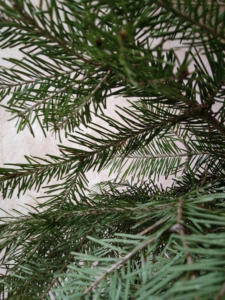 Photo #5427372