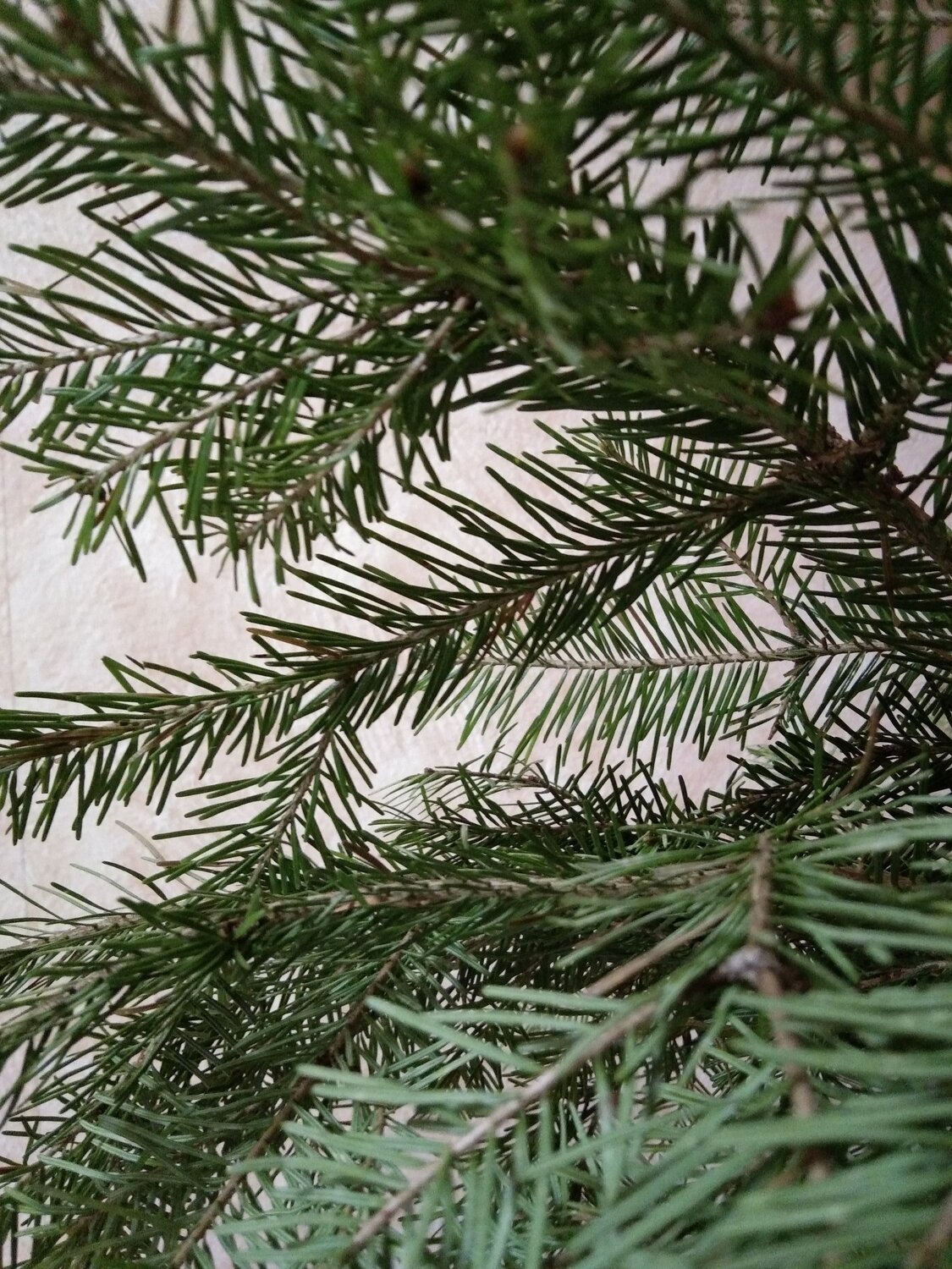 Photo #5427372