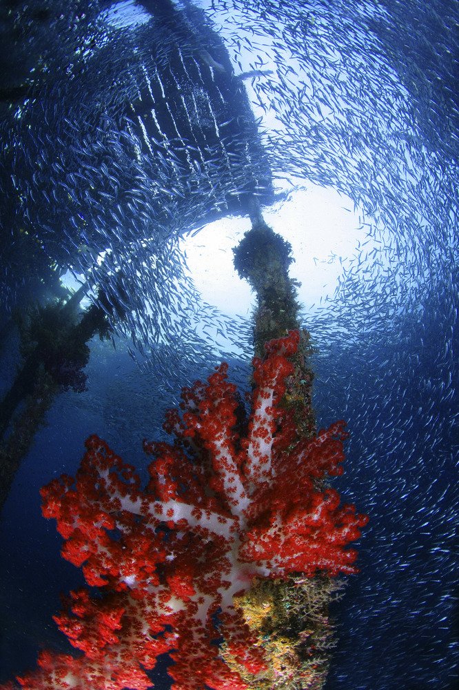 Photograph by Сергей Глущенко